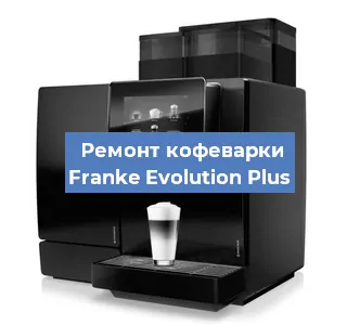 Чистка кофемашины Franke Evolution Plus от накипи в Красноярске